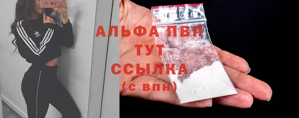 МДПВ Волоколамск
